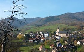Gite Schlitteur Et Sapiniere