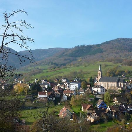 Gite Schlitteur Et Sapiniere Breitenbach Buitenkant foto