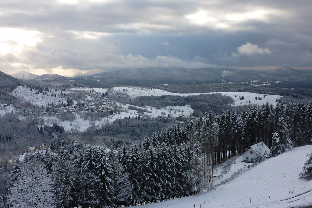 Gite Schlitteur Et Sapiniere Breitenbach Buitenkant foto