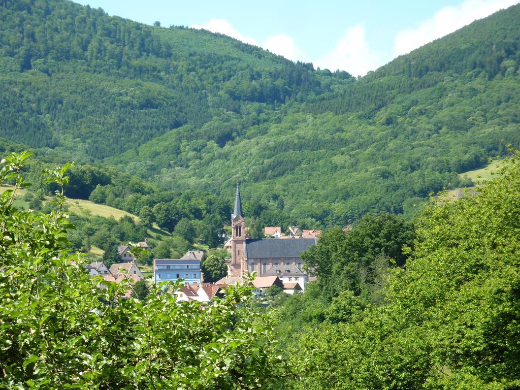 Gite Schlitteur Et Sapiniere Breitenbach Buitenkant foto