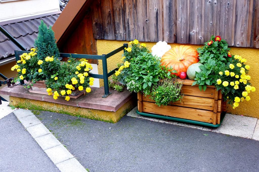 Gite Schlitteur Et Sapiniere Breitenbach Buitenkant foto