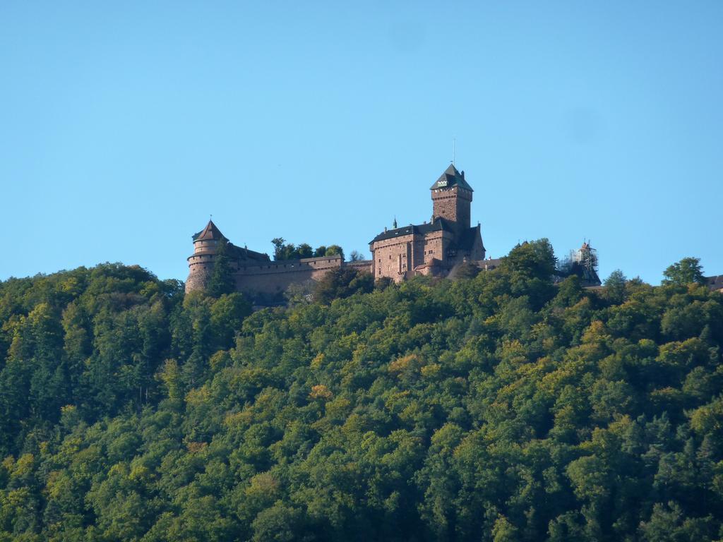 Gite Schlitteur Et Sapiniere Breitenbach Buitenkant foto