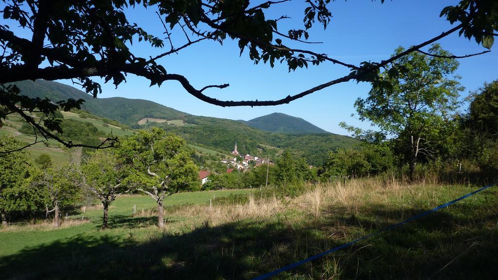 Gite Schlitteur Et Sapiniere Breitenbach Buitenkant foto