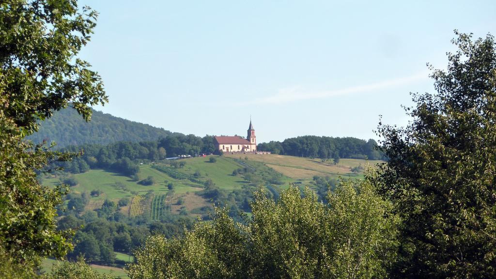 Gite Schlitteur Et Sapiniere Breitenbach Buitenkant foto
