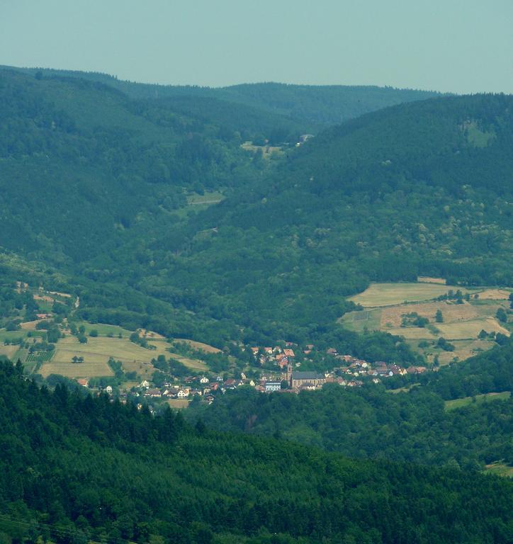 Gite Schlitteur Et Sapiniere Breitenbach Buitenkant foto