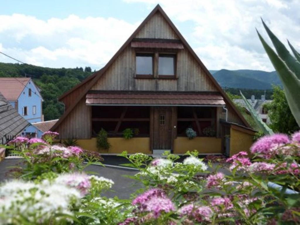 Gite Schlitteur Et Sapiniere Breitenbach Kamer foto