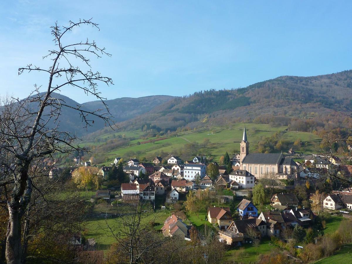 Gite Schlitteur Et Sapiniere Breitenbach Buitenkant foto