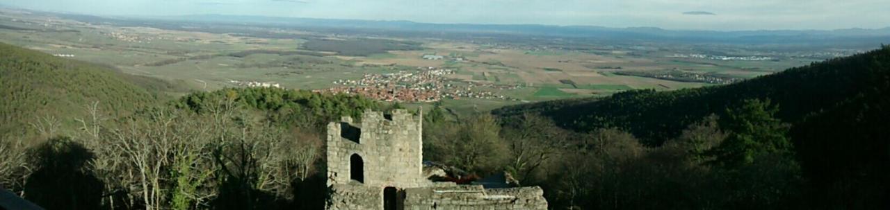 Gite Schlitteur Et Sapiniere Breitenbach Buitenkant foto